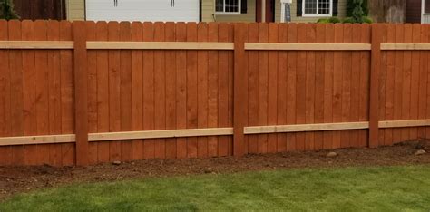 Magic fence for dogs